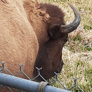 Meet your Posher, Wendy